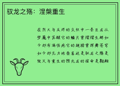 驭龙之殇：涅槃重生